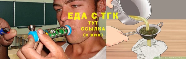 СК Алзамай
