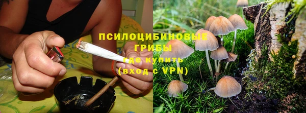 а пвп мука Алексин