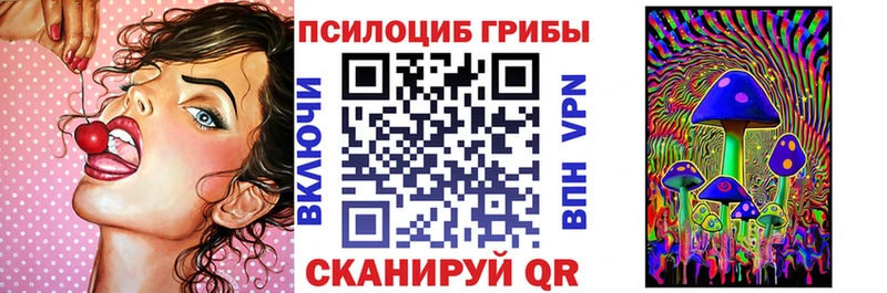 Псилоцибиновые грибы Cubensis  Ленинск-Кузнецкий 