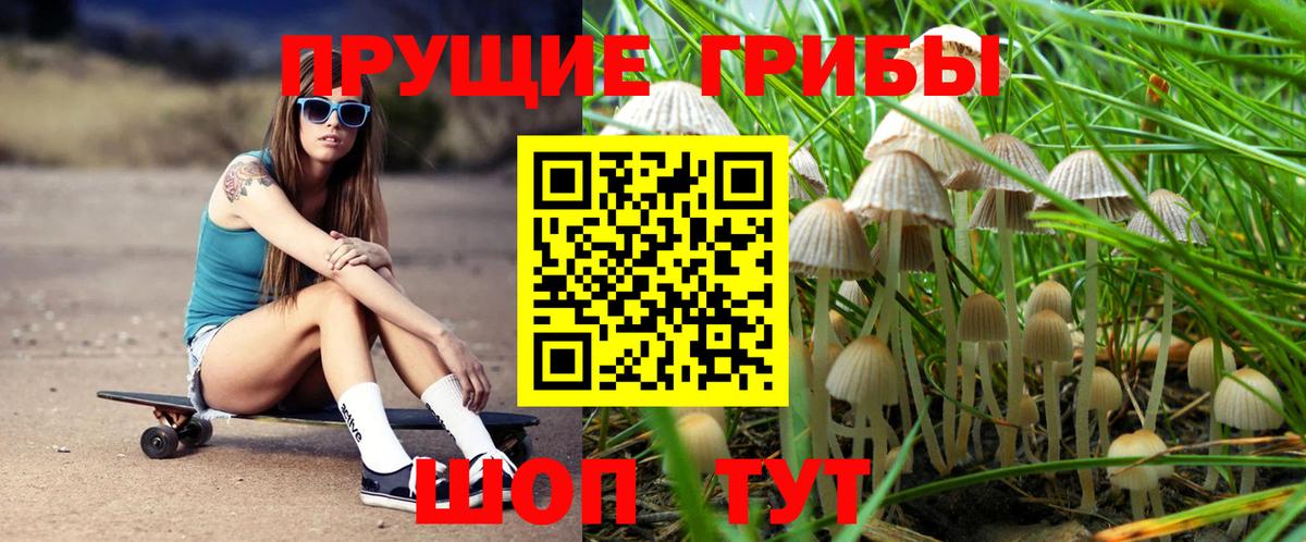 Ленинск-Кузнецкий  Галлюциногенные грибы мицелий  Вход с VPN 